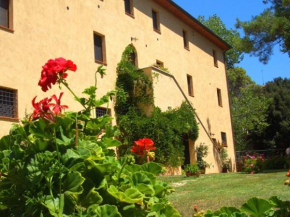 Agriturismo Lupo Vecchio Grosseto